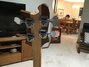 Rickenbacker 4003/4 , Mapleglo: Headstock - Rear