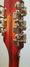 Rickenbacker 360/12 C63, Fireglo: Headstock - Rear