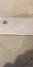 Rickenbacker DW16/2 X 8 Console Steel, Blonde: Close up - Free