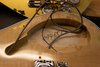 Rickenbacker 660/6 , Mapleglo: Close up - Free