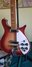 Rickenbacker 620/6 , Fireglo: Body - Front