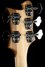 Rickenbacker 4003/5 S, Natural Walnut: Headstock - Rear