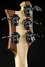 Rickenbacker 4003/5 S, Natural Walnut: Headstock - Rear