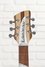 Rickenbacker 360/6 , Mapleglo: Headstock