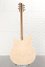 Rickenbacker 360/6 , Mapleglo: Full Instrument - Rear