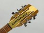 Oct 2013 Rickenbacker 660/12 , Mapleglo: Headstock