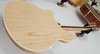 Feb 2005 Rickenbacker 370/12 , Mapleglo: Body - Rear