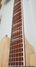 Rickenbacker 370/12 , Mapleglo: Neck - Front