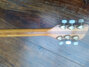Rickenbacker 365/6 , Natural: Headstock - Rear