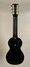 Rickenbacker B/6 LapSteel, Black: Full Instrument - Rear