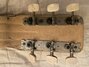 Rickenbacker 59/6 LapSteel, Cream: Headstock - Rear