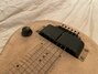 Rickenbacker 59/6 LapSteel, Cream: Close up - Free