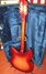 Rickenbacker 330/6 , Fireglo: Full Instrument - Rear