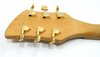 Rickenbacker 260/6 El Dorado, Jetglo: Headstock - Rear
