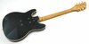 Rickenbacker 260/6 El Dorado, Jetglo: Full Instrument - Rear