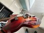 Rickenbacker 1997/6 RoMo, Fireglo: Close up - Free2