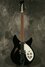 Rickenbacker 330/12 , Black: Full Instrument - Front