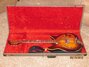 Rickenbacker 365/6 Capri, Autumnglo: Free image