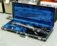 Rickenbacker 330/6 Mod, Jetglo: Free image2