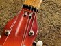 Rickenbacker ES16/6 Ryder, Fireglo: Free image