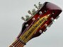 Rickenbacker 660/12 TP, Fireglo: Headstock