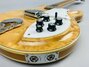 Rickenbacker 381/6 V69, Mapleglo: Close up - Free