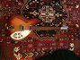 Rickenbacker 330/6 , Fireglo: Full Instrument - Front