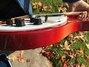 Rickenbacker 330/12 , Fireglo: Close up - Free2