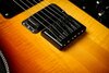 Rickenbacker 480/6 XC 90th Anniversary, Tobaccoglo: Close up - Free2