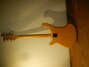 Rickenbacker 480/6 Mod, Mapleglo: Full Instrument - Rear