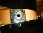 Rickenbacker 480/6 Mod, Mapleglo: Close up - Free