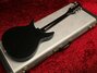 Rickenbacker 325/6 V63, Jetglo: Full Instrument - Rear