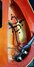 Rickenbacker 4001/4 Mod, Fireglo: Close up - Free2