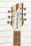 Rickenbacker 330/6 , Mapleglo: Headstock