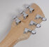 Rickenbacker 620/6 , Mapleglo: Headstock - Rear