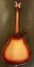 Rickenbacker 660/6 , Fireglo: Full Instrument - Rear