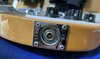 Rickenbacker 4001/4 V63, Mapleglo: Close up - Free