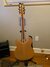 Rickenbacker 330/6 , Mapleglo: Full Instrument - Rear