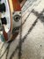 Rickenbacker 4001/4 , Autumnglo: Close up - Free