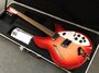 Rickenbacker 330/6 , Fireglo: Full Instrument - Front
