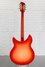 Rickenbacker 360/12 C63, Fireglo: Full Instrument - Rear
