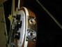 Rickenbacker 4003/4 , Natural Walnut: Close up - Free