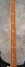 Rickenbacker 4003/4 S, Jetglo: Neck - Front