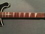 Rickenbacker 660/12 , Jetglo: Neck - Front