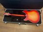 Rickenbacker 360/6 SPC, Fireglo: Full Instrument - Rear