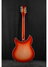 Rickenbacker 360/12 C63, Fireglo: Full Instrument - Rear