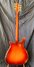 Rickenbacker 625/6 , Fireglo: Full Instrument - Rear