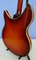 Jan 1984 Rickenbacker 360/12 B Series, Fireglo: Body - Rear
