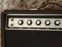 Rickenbacker TR25/amp , Black: Free image
