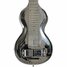 Rickenbacker NS 100/6 LapSteel, Silver: Body - Front